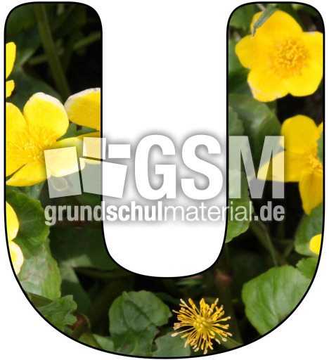 Deko-Buchstaben-Blumen_U.jpg